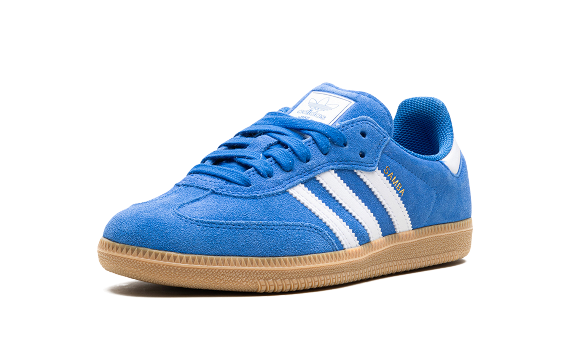 Samba Adv "Blue Bird"