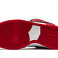 SB Dunk Low Pro "Chicago"