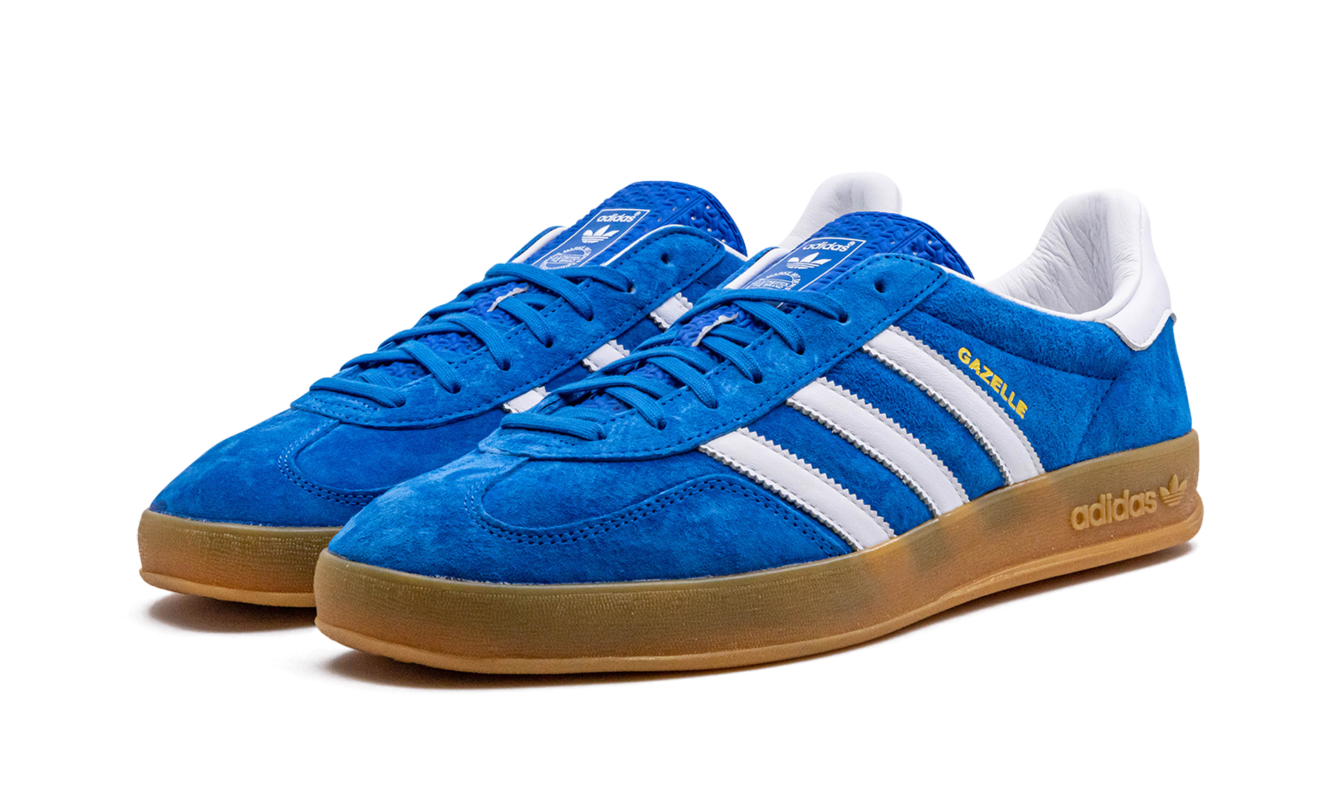 Gazelle Indoor "Blue Bird"