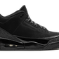 Air Jordan 3 "Black Cat 2025"