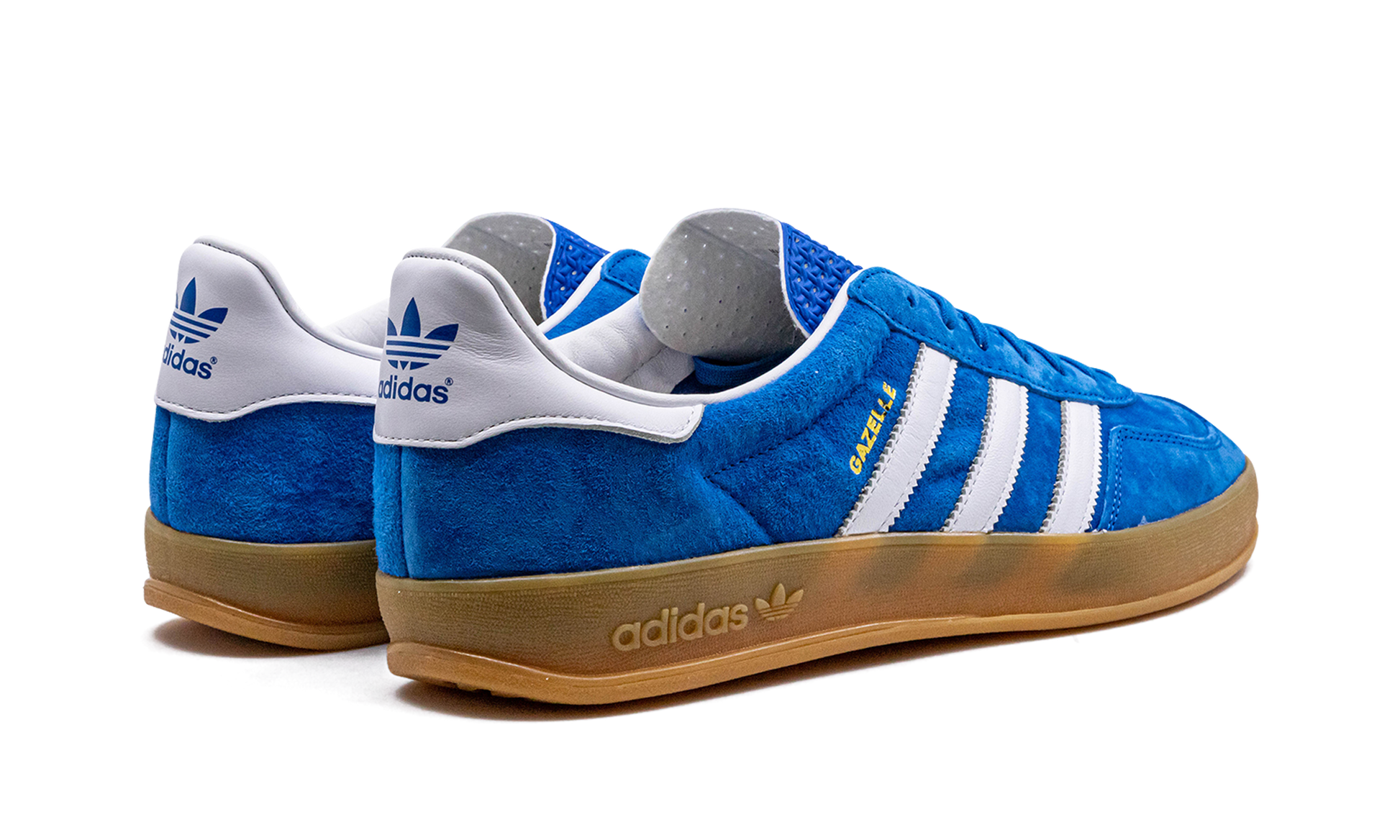 Gazelle Indoor "Blue Bird"